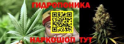 Альфа ПВП Кимры