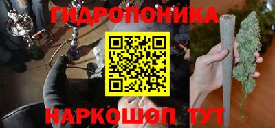 jwh Кинель