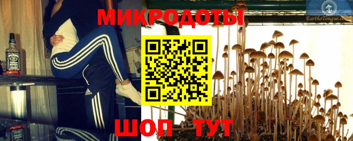 Галлюциногенные грибы Psilocybe  Вход с VPN  Уварово  Псилоцибиновые грибы мицелий 